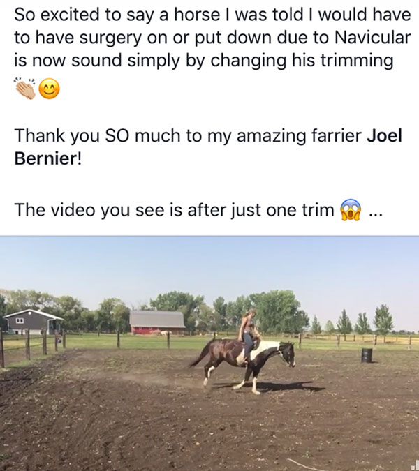 So excited to say a horse I was told would have to have surgery on or put down due to Navicular is now sound simply by changing his trimming. Thank you so much to my amazing farrier Joel Bernier. The image you see is after just one trim.
