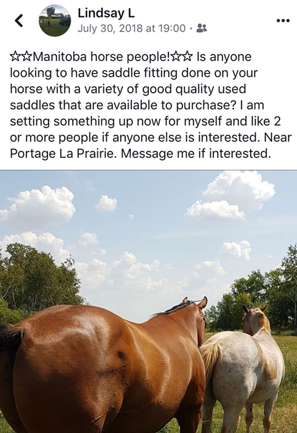 Manitoba horse people: Is anyone looking to have saddle fitting done on your horse with a variety of good quality used saddles that are available for purchase? I am setting something up now for myself and like 2 or more people if anyone else is interested. Near Portage la Prairie.