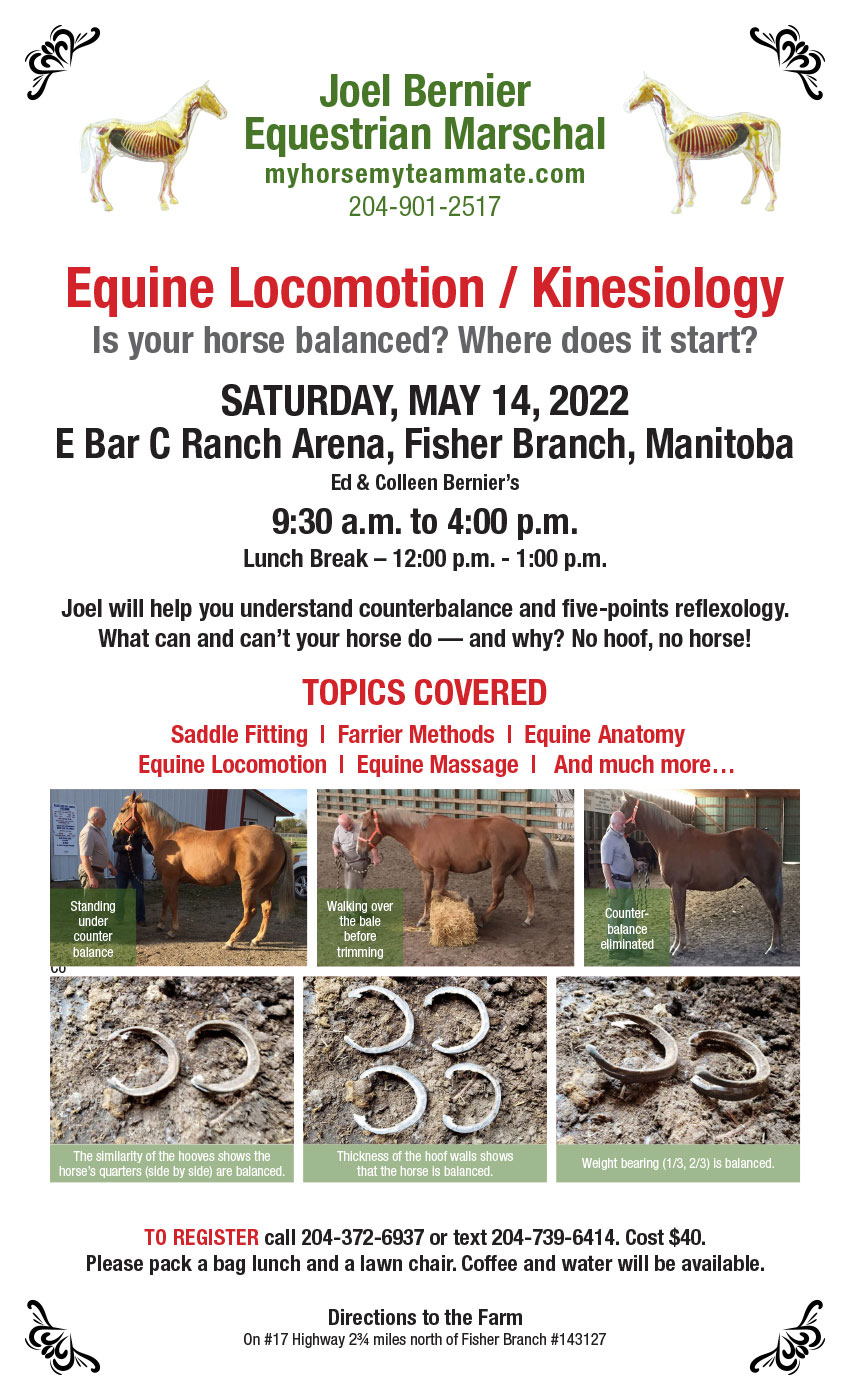 Equine Locomotion / Kinesiology Clinic - May 14, 2022 - Fisher Branch, Manitoba