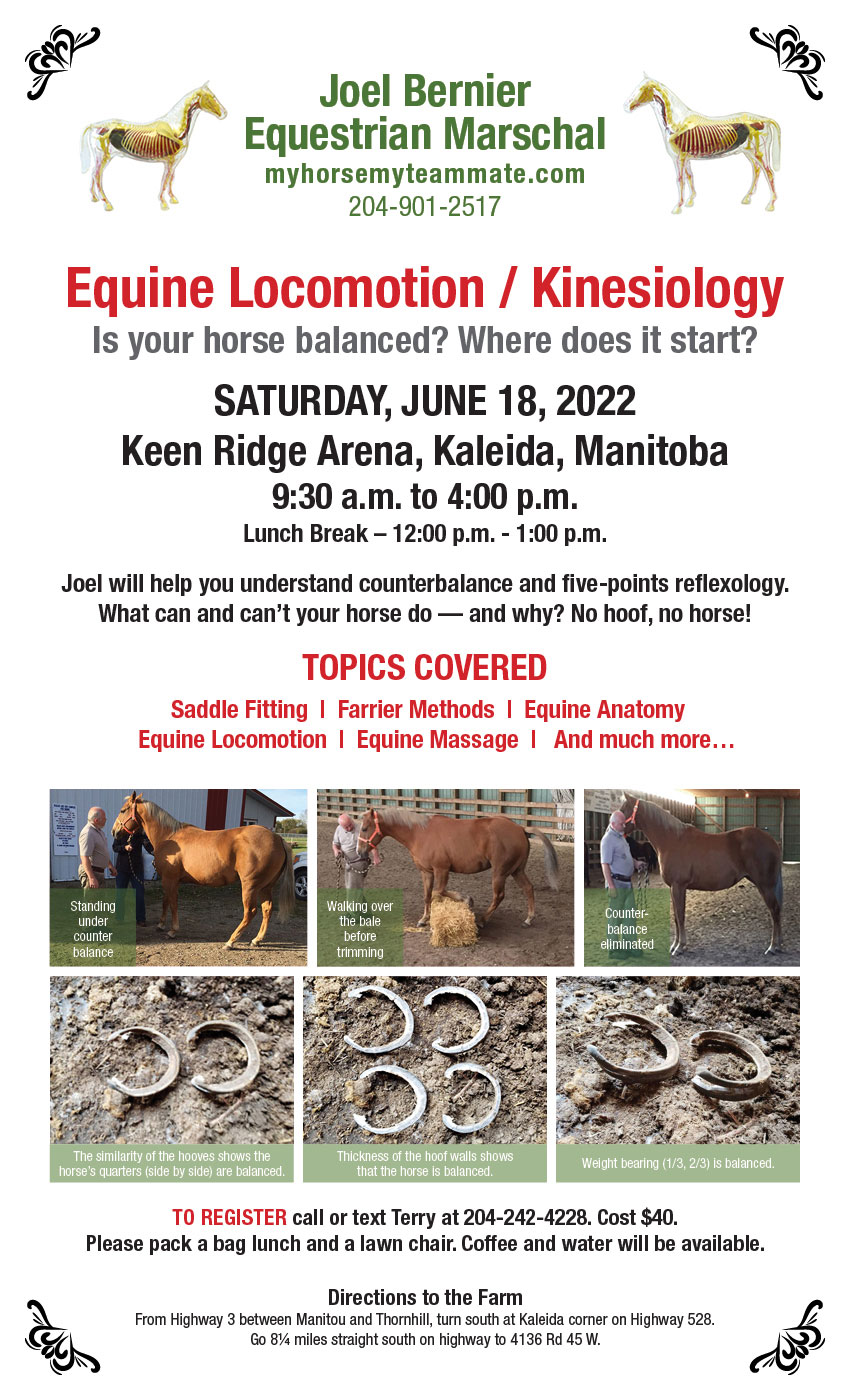 Equine Locomotion / Kinesiology Clinic - June 18, 2022 - Kaleida, Manitoba